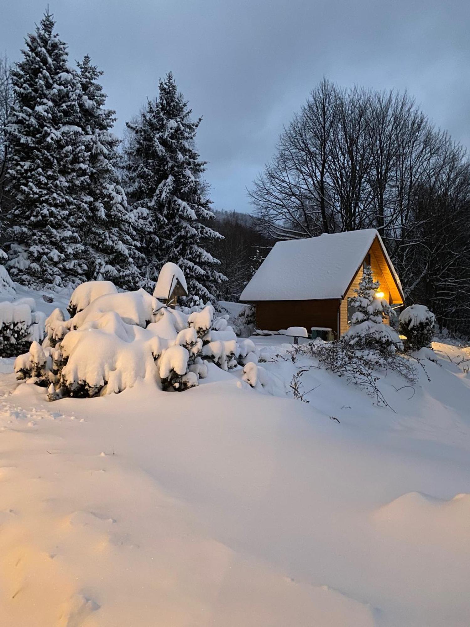 Gorski Na Polanie Goryczkowej 700 M Npm - Dojazd Samochodem Terenowym, W Zimie Utrudniony - Wymagane Lancuchy Chalet *